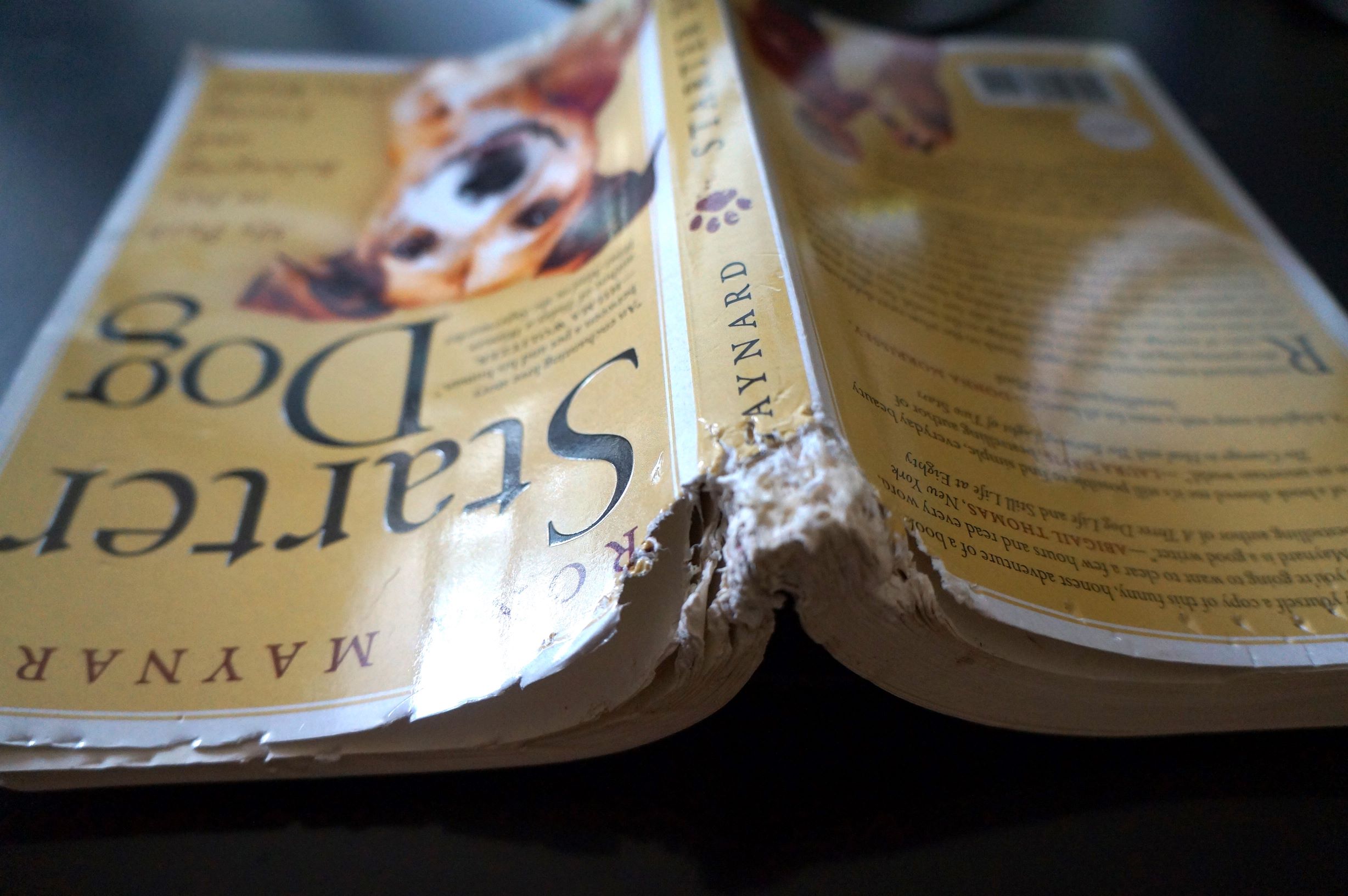 Starter Dog book review image -- the book is open pages down with the cover upside down and the top edge of the binding chewed on by a dog