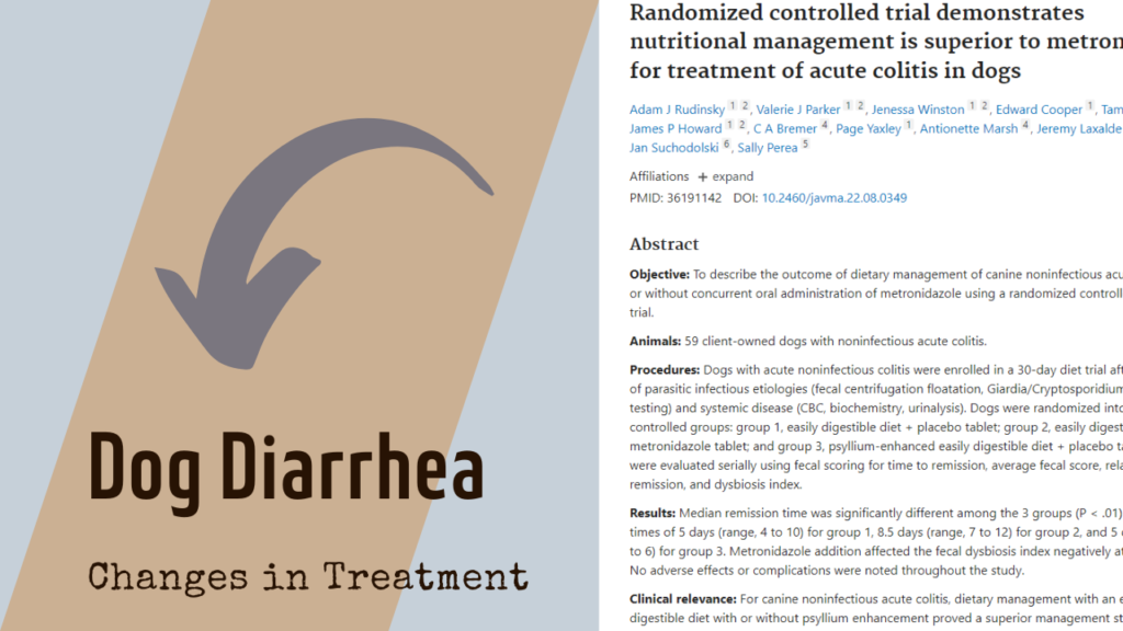 Beautiful view of Dog Diarrhea Treatment Without Medication