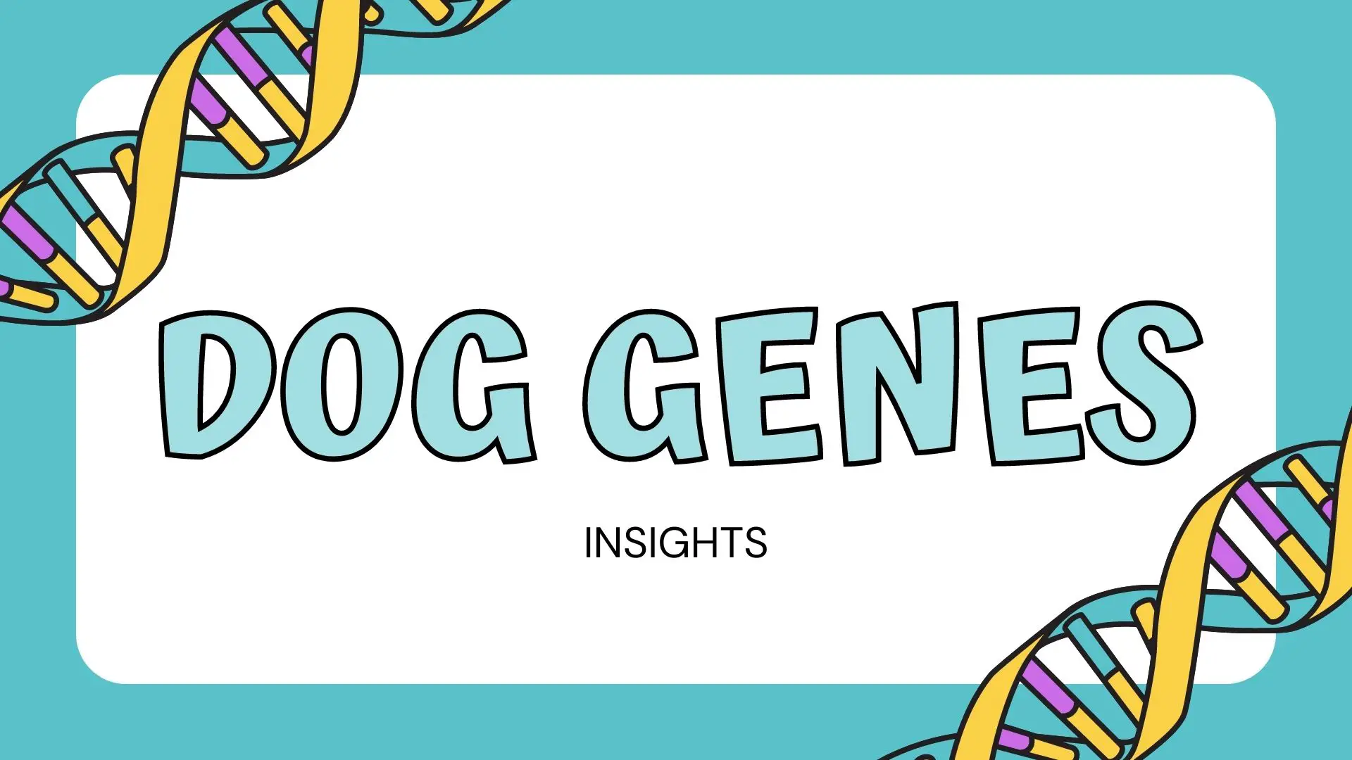 dog genes insights graphic