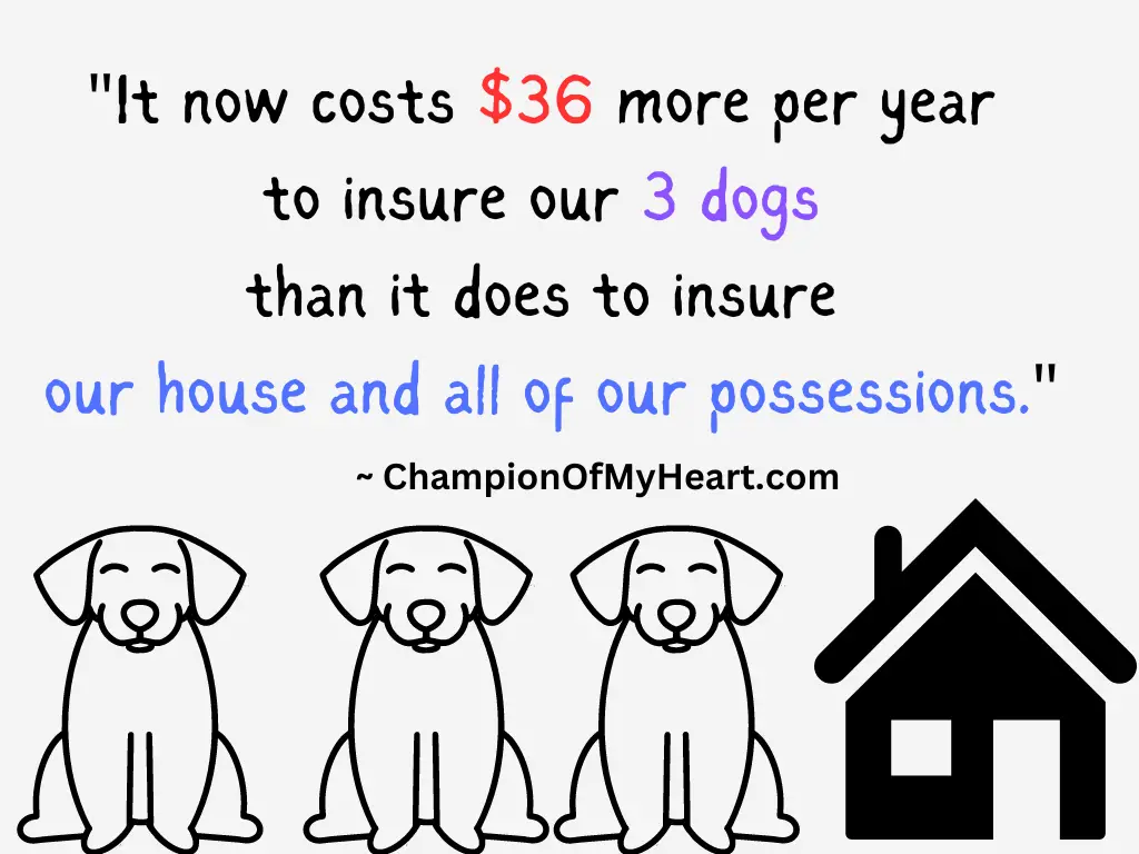 pet insurance vs home insurance quote