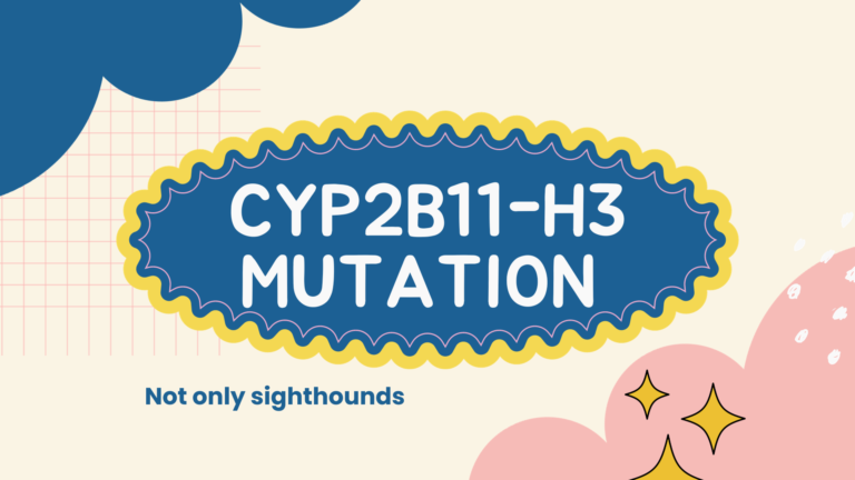 CYP2B11 deficiency dogs main graphic for post