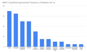 MDR1 dog breeds frequency of mutation chart