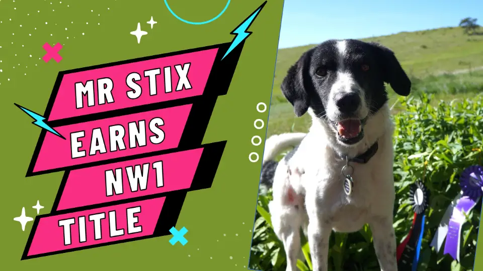 Mr Stix earns NACSW NW1 title graphic for post with NW search videos