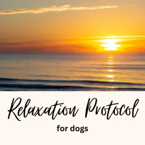 dog relaxation protocol audio file page main graphic