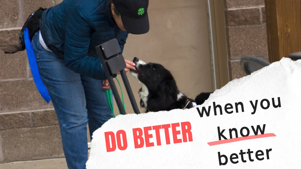 mistakes dog owners make second graphic -- know better do better