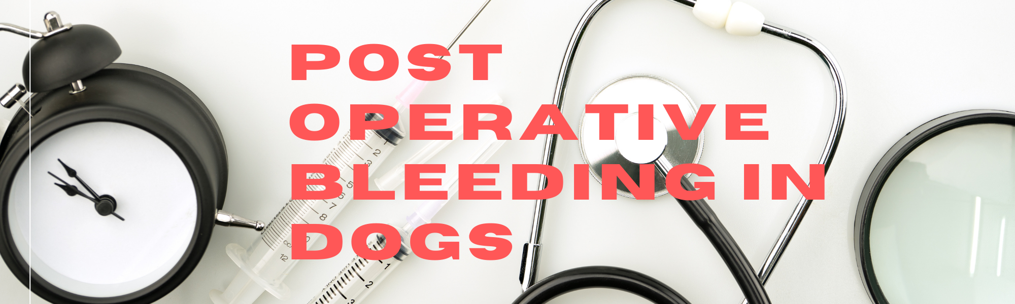 post operative bleeding in dogs graphic