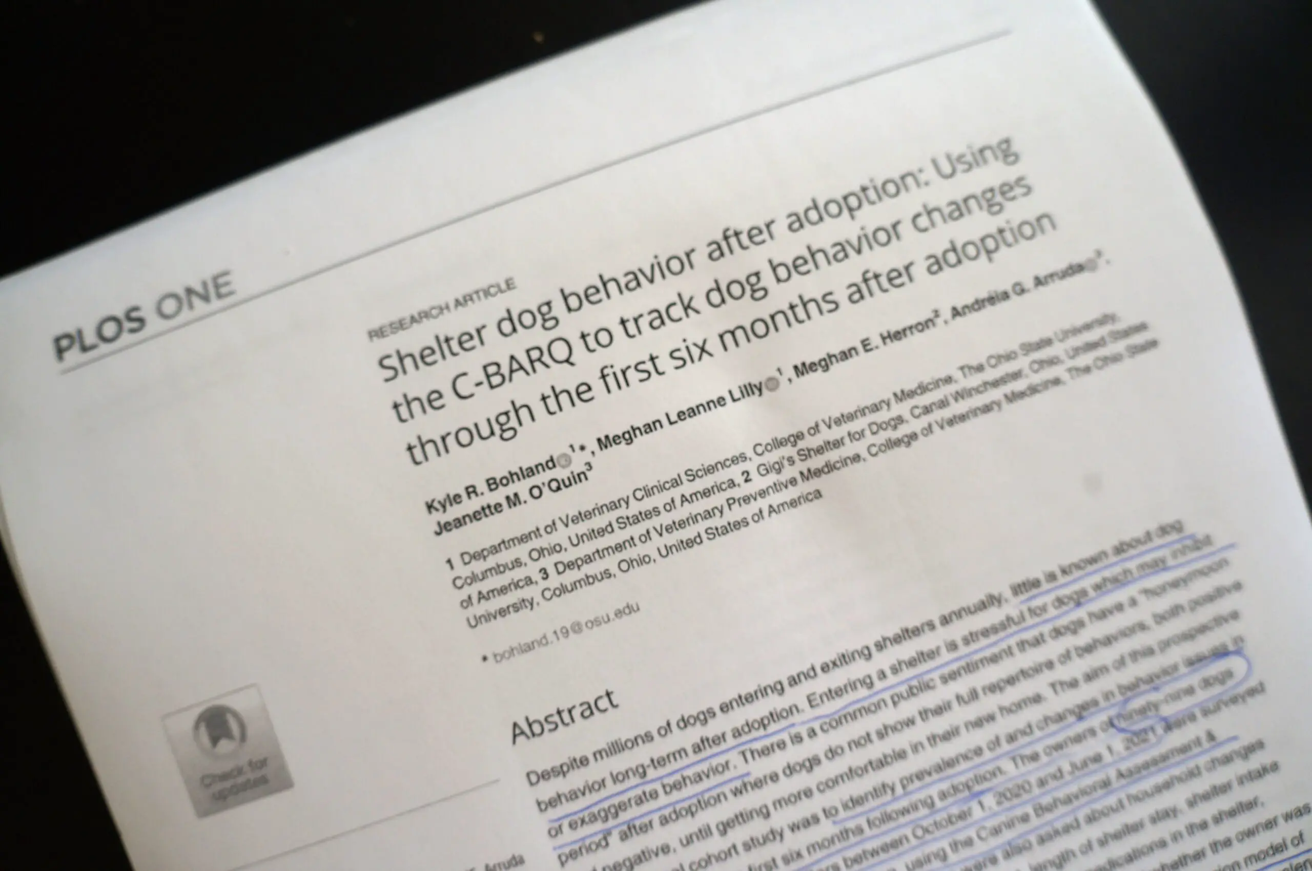 shelter dog behavior after adoption main graphic -- photo of the top of the first page of a new study published in Aug 2023