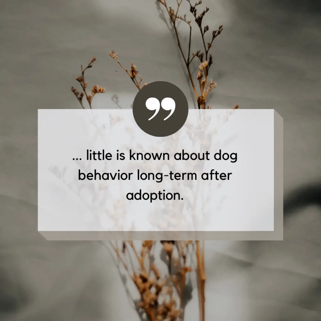 shelter dog behavior after adoption quote graphic 1