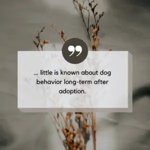 shelter dog behavior after adoption quote graphic 1 shelter dog behavior after adoption quote graphic 1