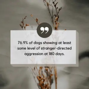 shelter dog behavior after adoption quote graphic 13