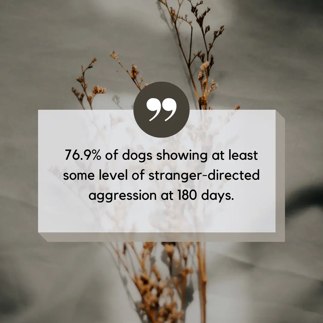 shelter dog behavior after adoption quote graphic 13