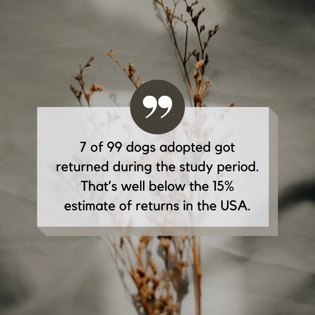 shelter dog behavior after adoption quote graphic 5