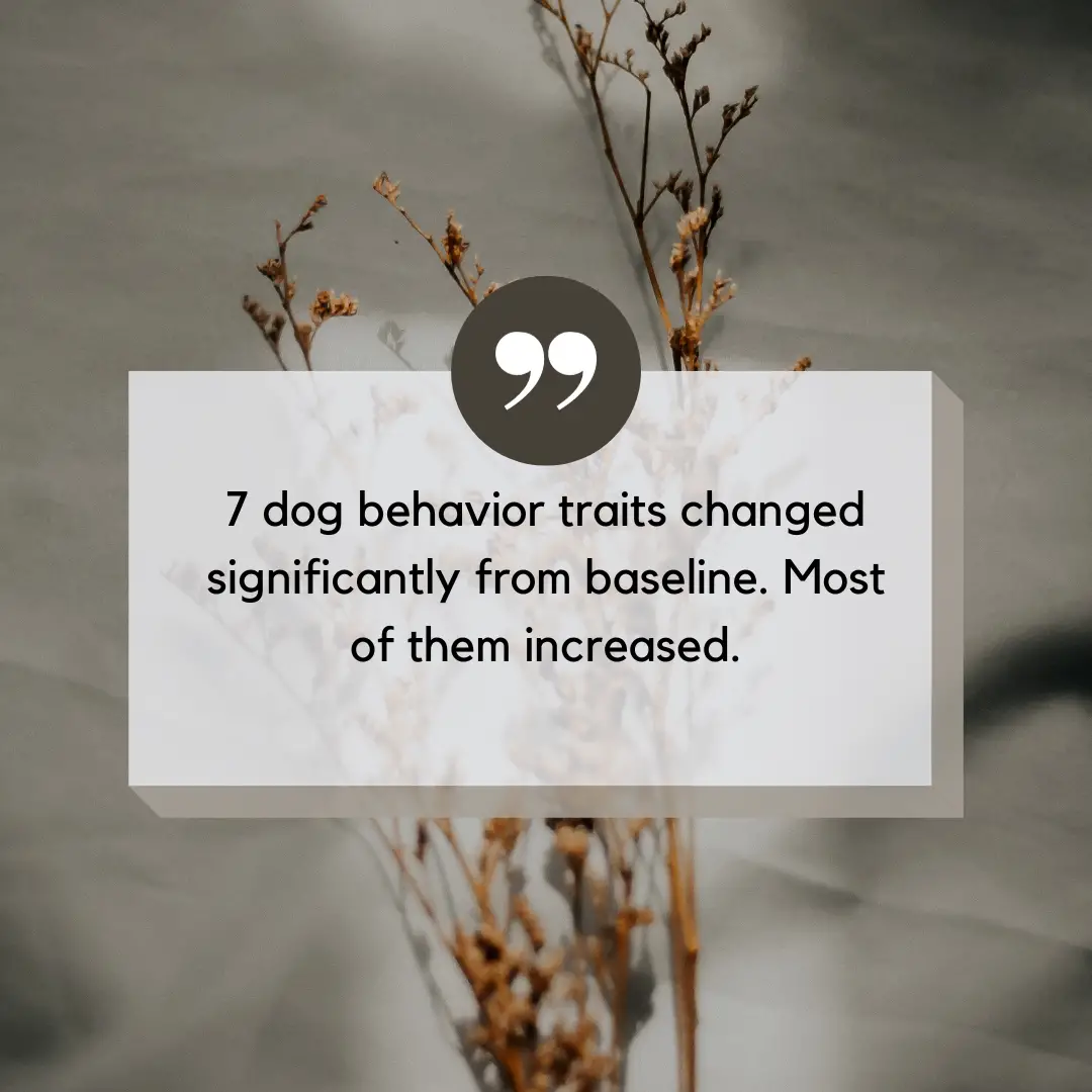 shelter dog behavior after adoption quote graphic 6