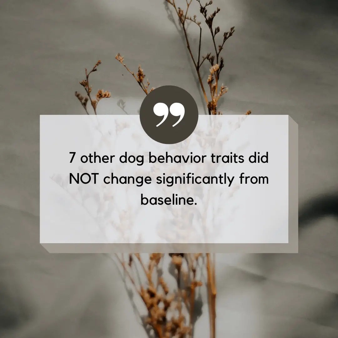 shelter dog behavior after adoption quote graphic 7