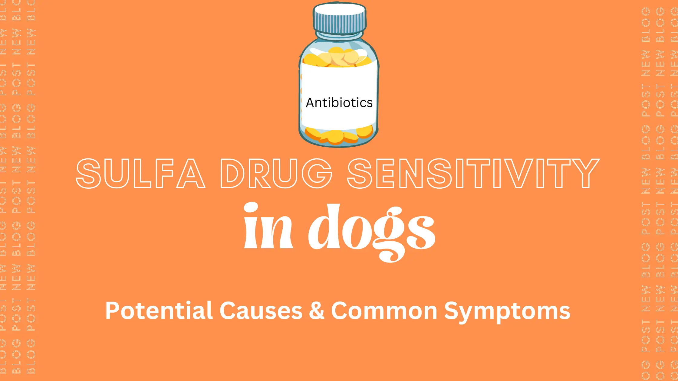 sulfa drug sensitivity in dogs causes and symptoms