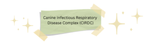 Canine Infectious Respiratory Disease Complex graphic main