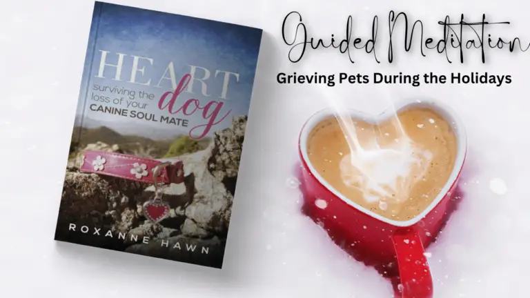 pet loss guided meditation main graphic with copy of Heart Dog book and a steaming cup of cocoa that's heart-shaped