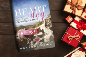 pet loss guided meditation - holiday tablescape with heart dog book on the left and some small wrapped gifts to the right