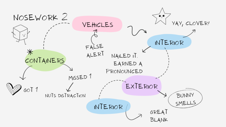 nw2 results illustration mind map