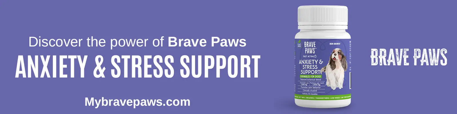 new dog anxiety supplement from brave paws