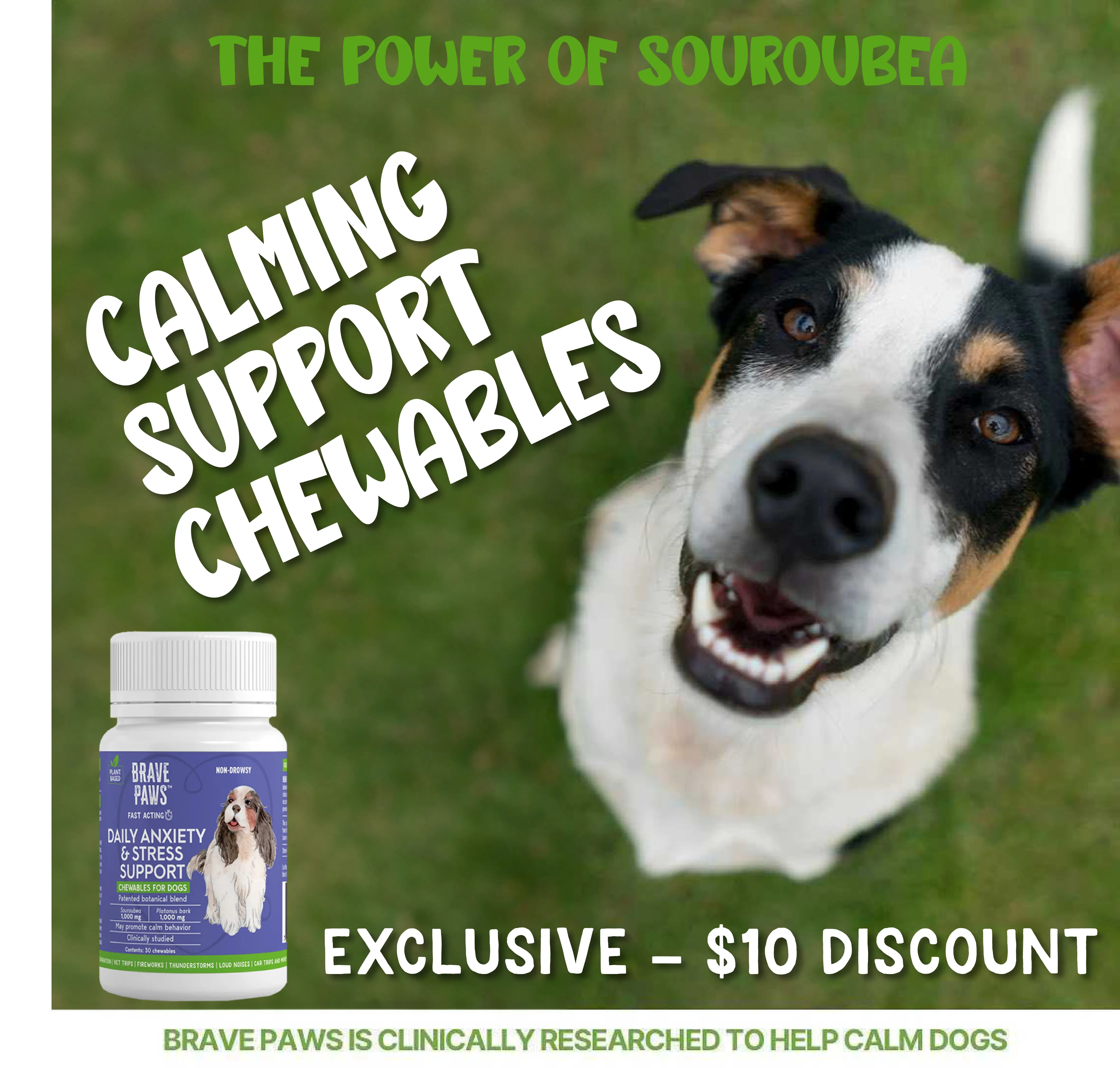 dog anxiety supplement exclusive discount for champion of my heart fans
