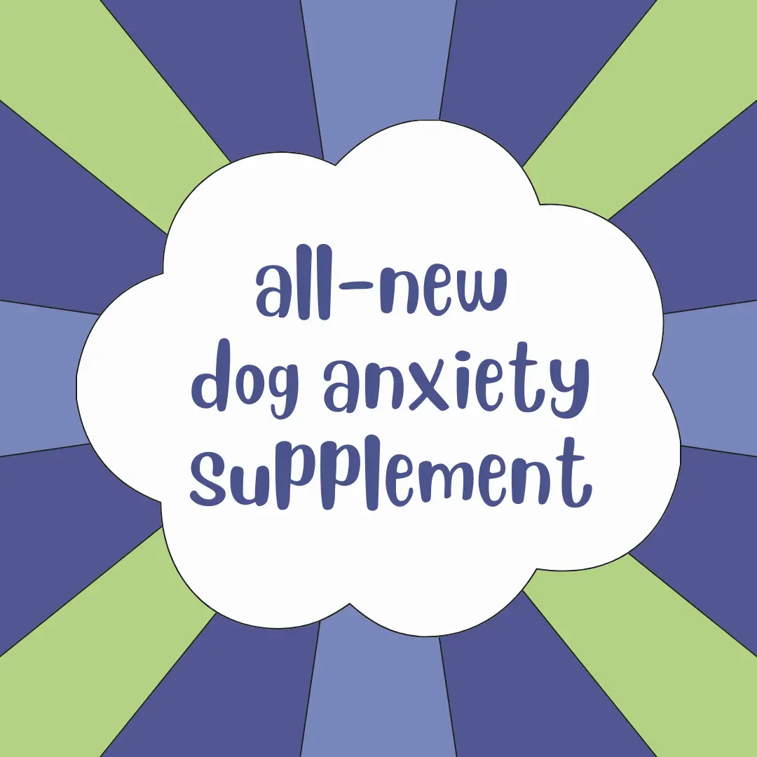 all new dog anxiety supplement from brave paws