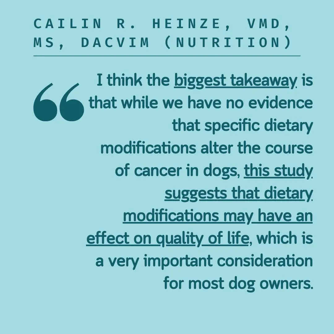 dog cancer diet study results biggest take away quote -- -- The text in this graphic appear just below in the text also