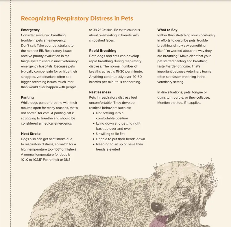 respiratory distress handout 1 - roxanne hawn trends magazine January 2023