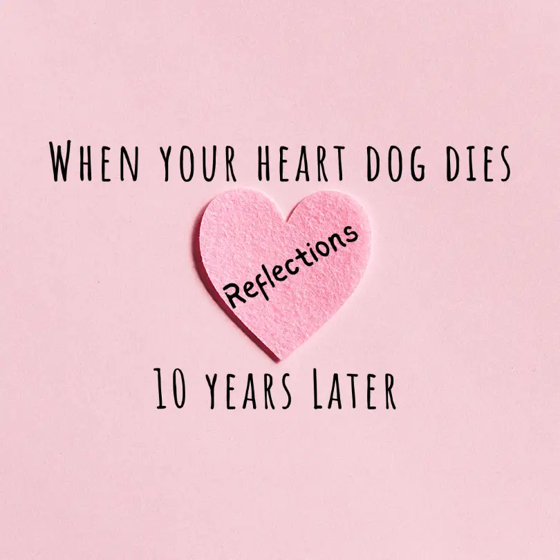 graphic that reads -- when your heart dog dies reflections 10 years later. It's pink with black text and a pink felt heart in the middle