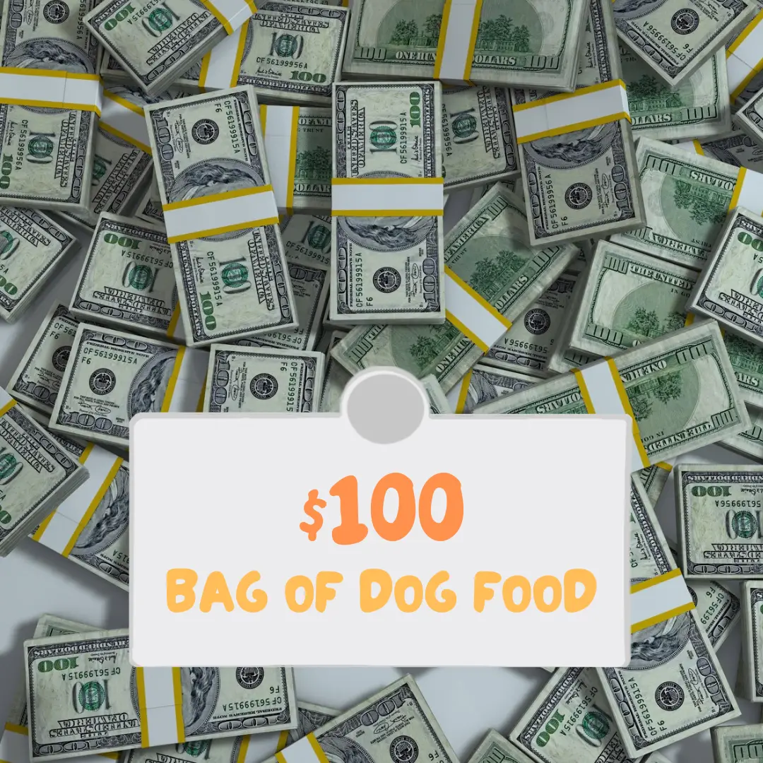 100 dollar bag of dog food main graphic (pile of US money, with text on top)