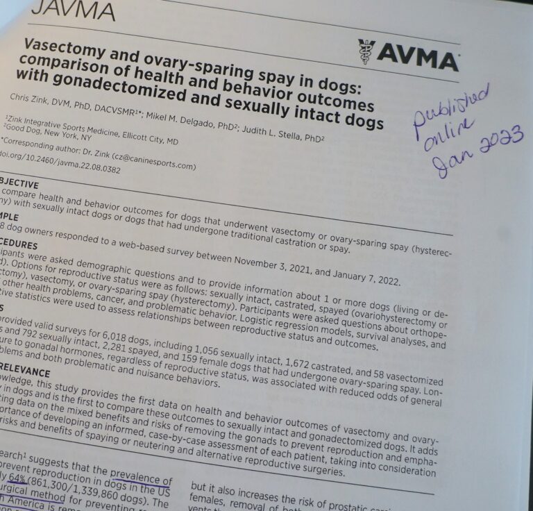 dog vasectomy and ovary sparing spay main photo of the published study