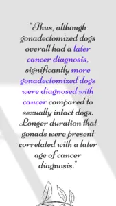 dog vasectomy and ovary sparing spay quote from published study - the full text of the quote is below the image