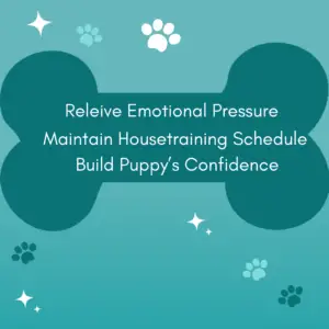puppies pee when excited graphic, list of possible solutions -- recap of what's covered in the text of the article