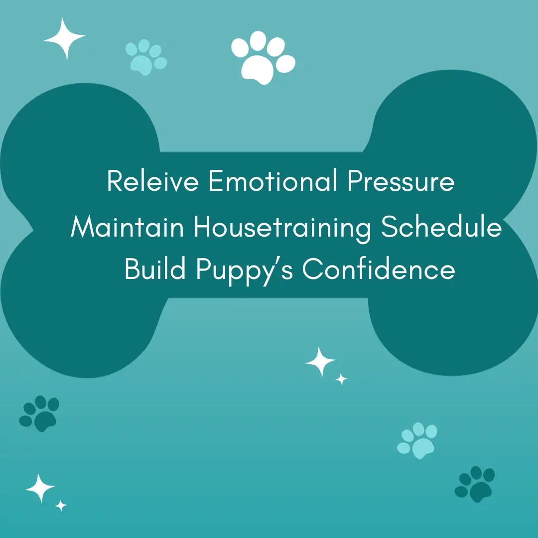puppies pee when excited graphic, list of possible solutions -- recap of what's covered in the text of the article