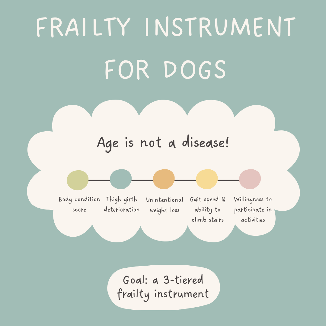 frail dogs main graphic with list of frailty factors