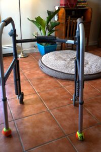 photo of walker for training dogs to be careful around crutches article