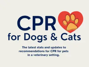 dog CPR website article main graphic