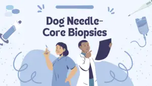 Dog needle core biopsy main image - illustration with 2 medical looking people on a light blue background - other icons include a syringe, a chart, an IV bag, and a thermometer