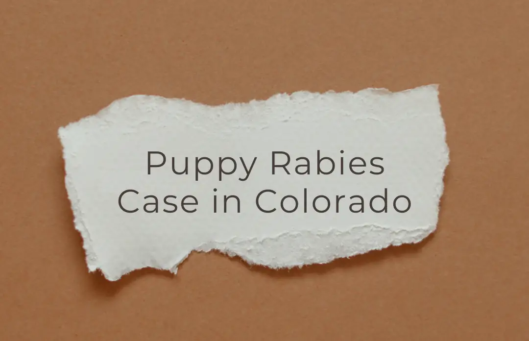 puppy rabies case in colorado main graphic