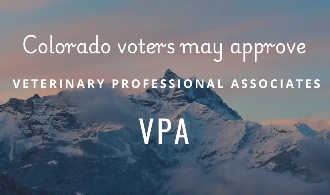 vpa - veterinary professional associate - colorado ballot measure 2024