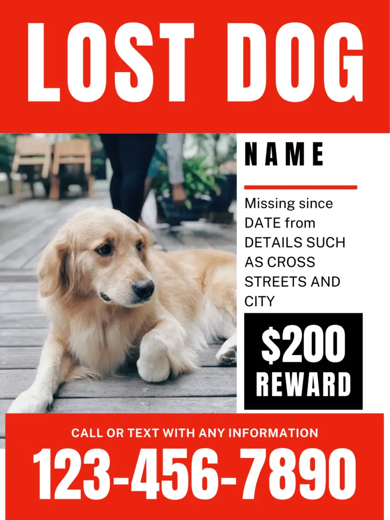 lost pet article featured graphic - example lost pet post