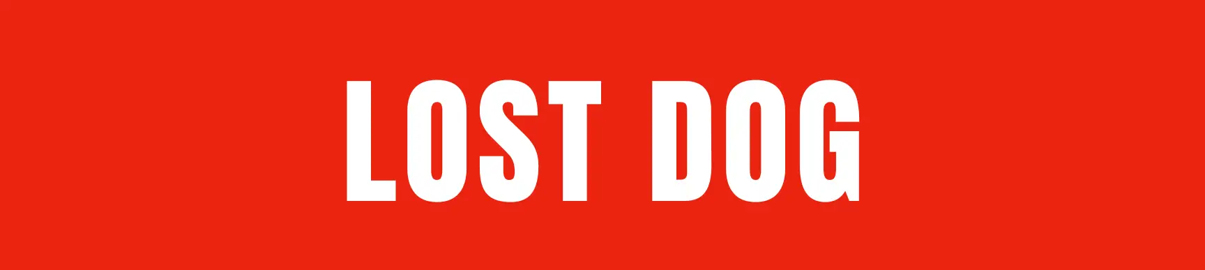 lost pets post featured graphic - red box with lost dog in white letters