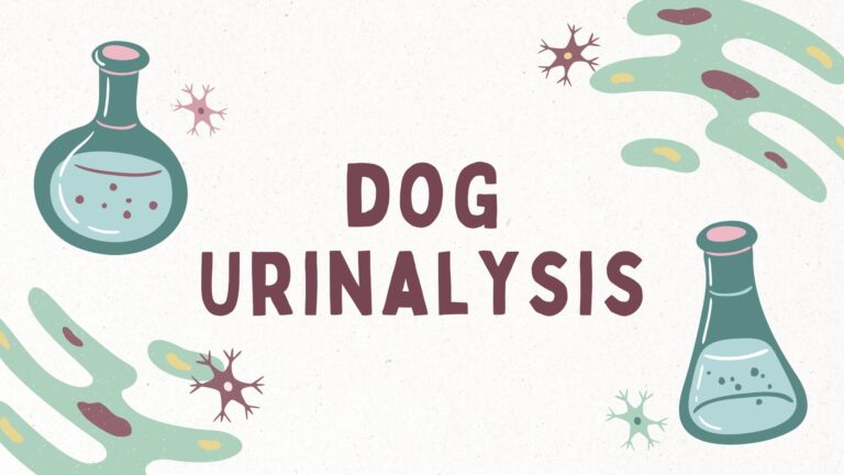 dog urinalysis main graphic-- cartoon lab equipment and other misc germ-like graphics