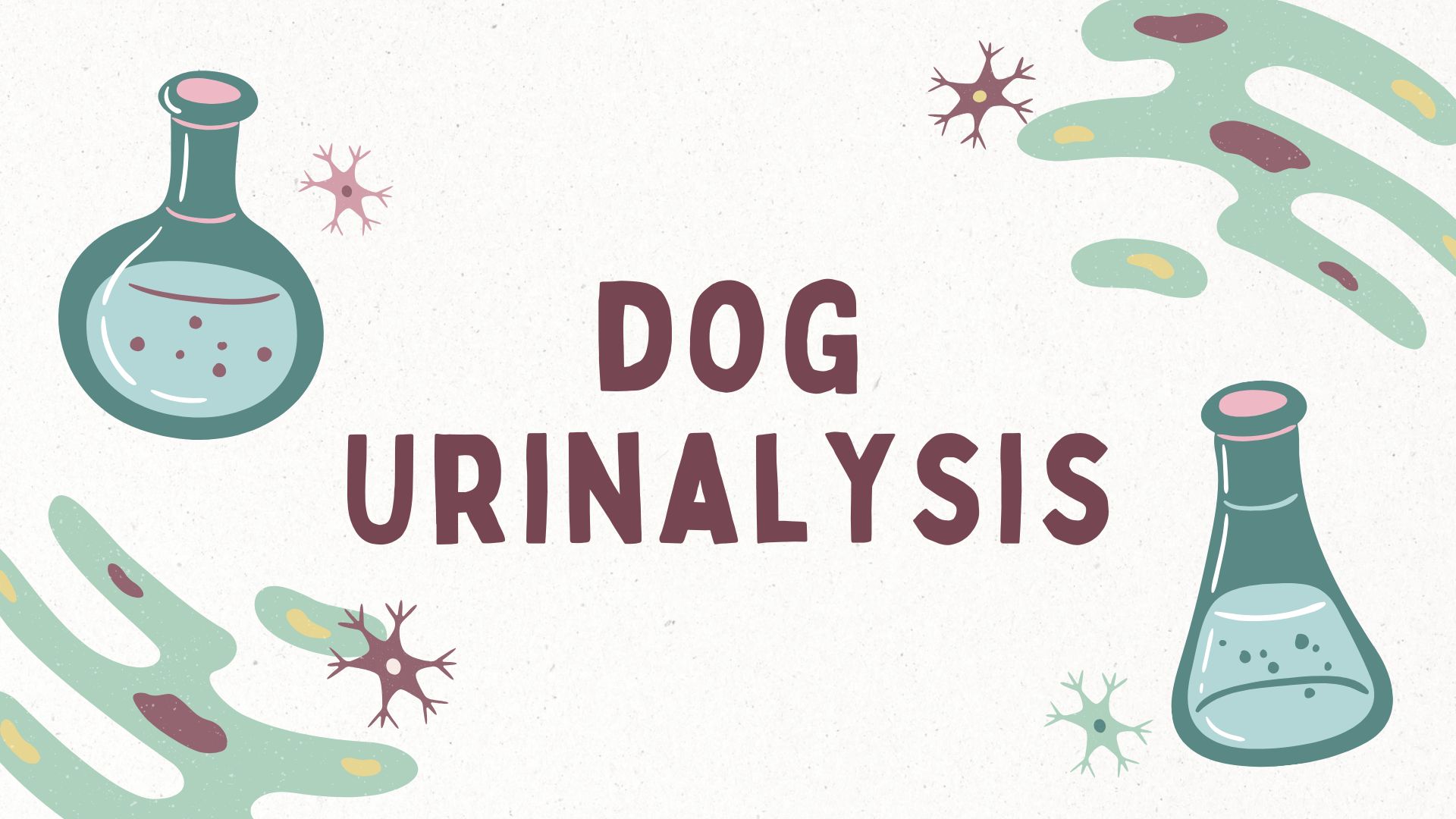 dog urinalysis main graphic-- cartoon lab equipment and other misc germ-like graphics