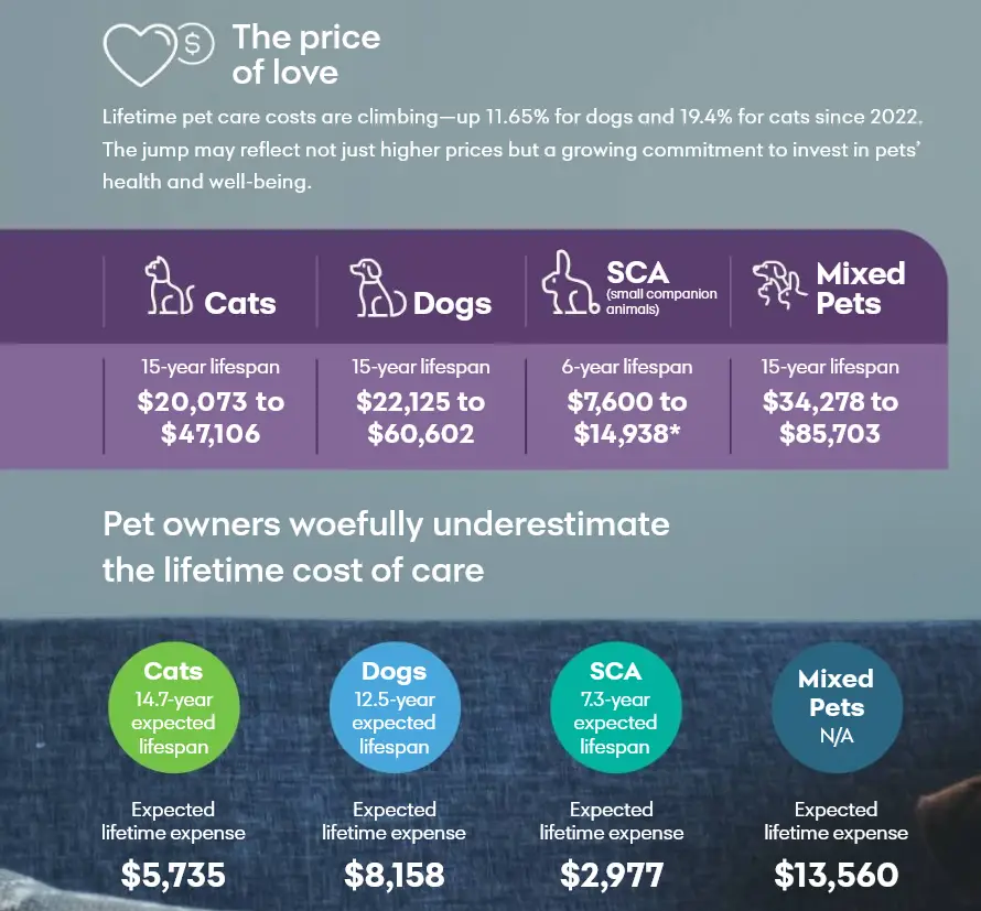 how much do dogs cost graphic 2 - actual costs versus what people think