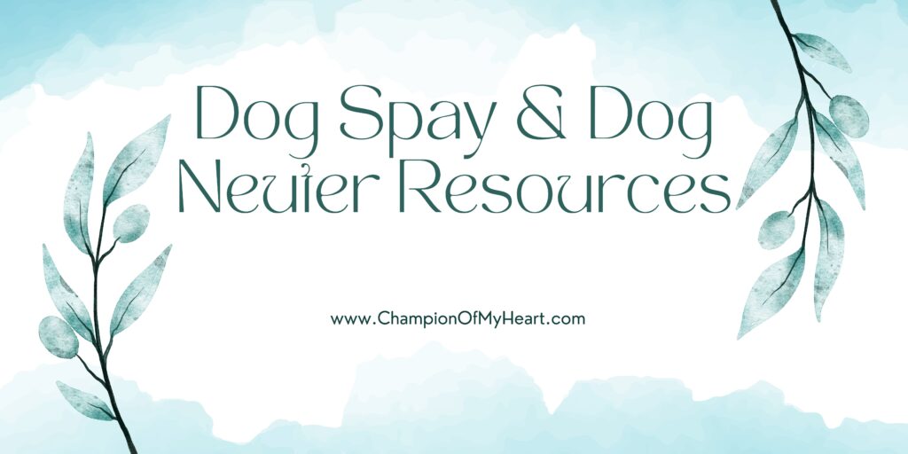 dog spay or dog neuter resources main graphic