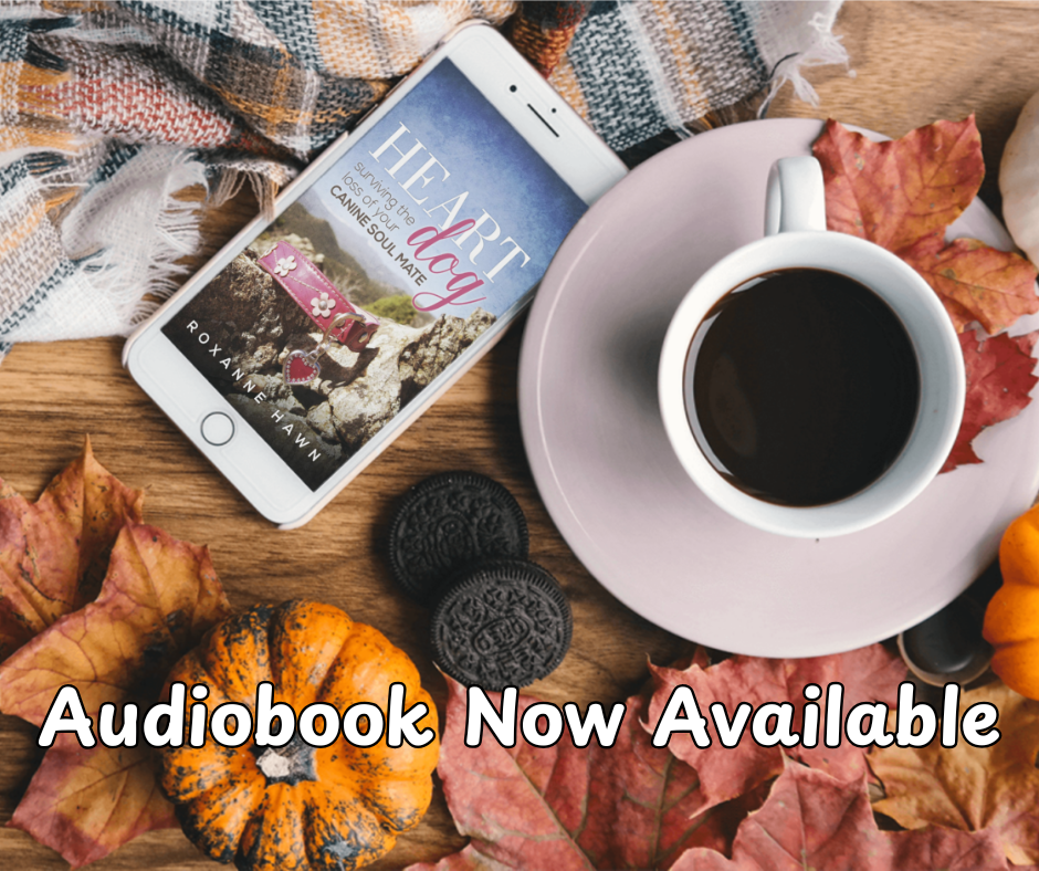 Heart Dog Audiobook main image - photo of a phone with the book cover of Heart Dog: Surviving the Loss of Your Canine Soul Mate next to a cup of coffee, with little pumpkins and other fall-like decorations nearby