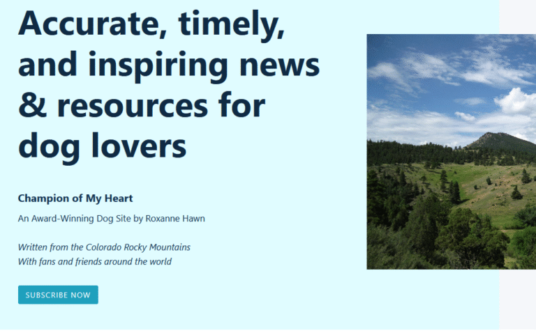 champion of my heart redesign new home cropped