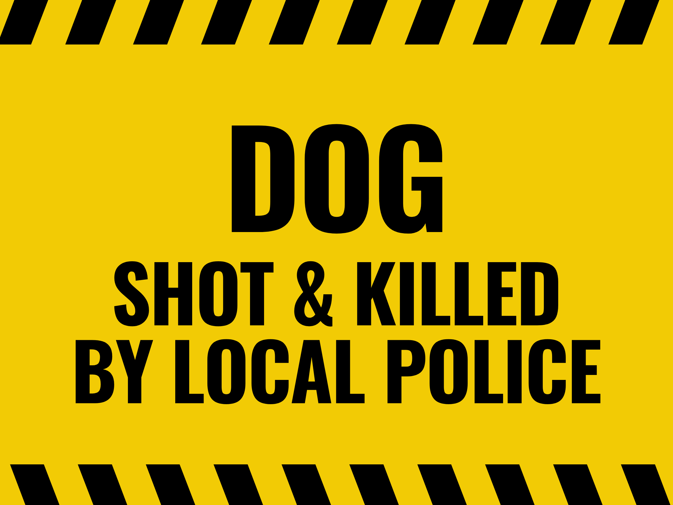 Police Officer Shot and Killed a Dog in Wheat Ridge Colorado main graphic that says dog shot & killed by local police