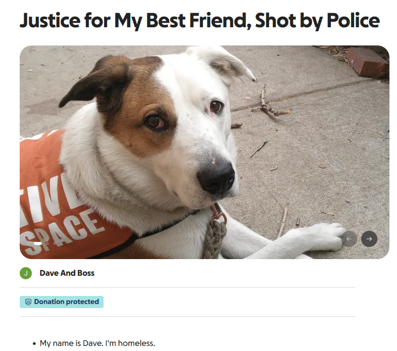 dog shot by wheat ridge colorado police gofundme